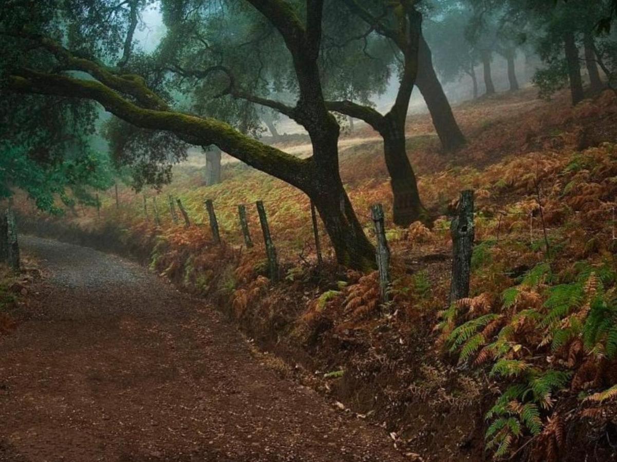 Finca Charco La Olla Jabugo Esterno foto